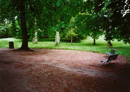 A clearing in some trees, and some park benches